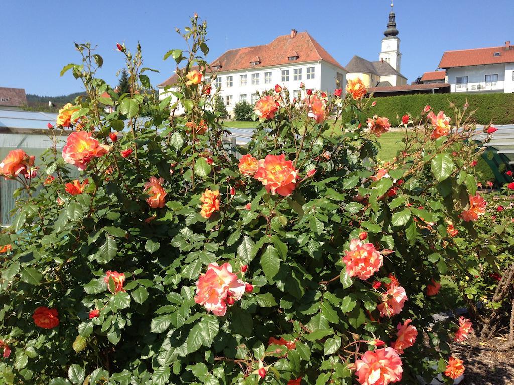 Haus Rose Apartment Wenigzell Екстериор снимка